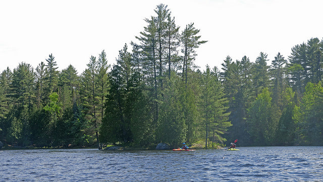 Kayaking in Abitibi-Témiscamingue, Quebec [Video]