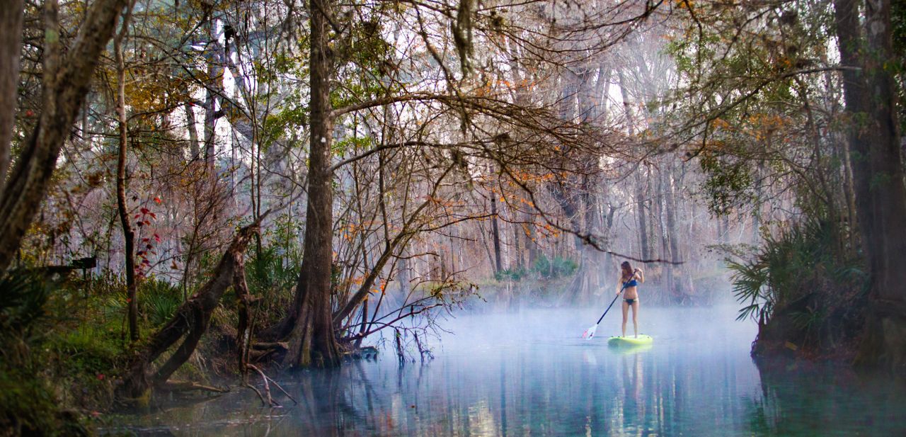 Which SUP Board Should I Buy?