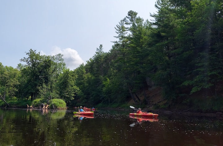 Kayaking + Birding by Sound = Joy!