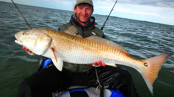 ProStaffer Profile: Kevin Whitley