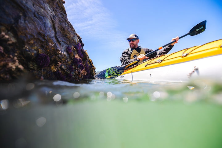 Which Kayak Paddle Gives You the Best Bang for Your Buck?