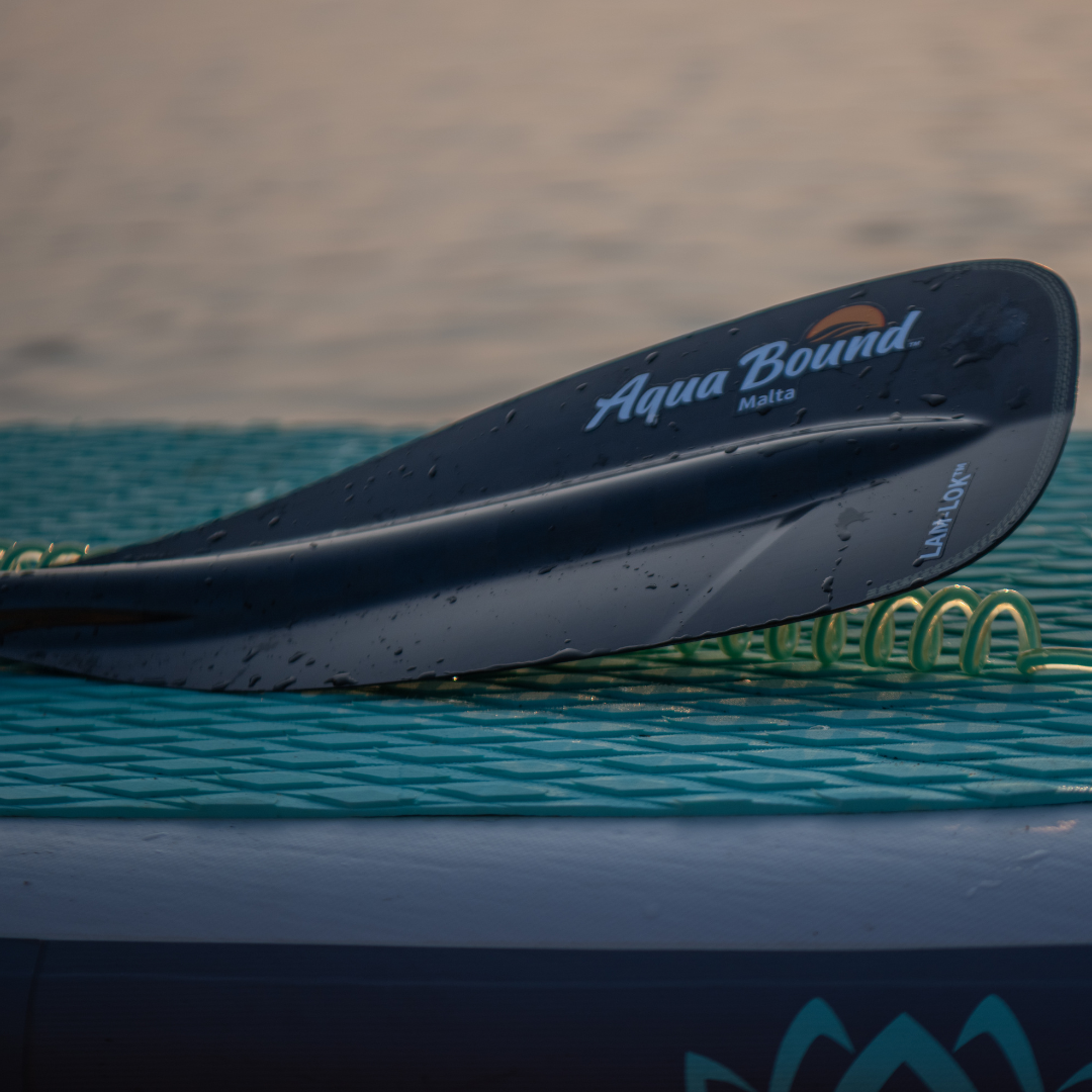 Malta Carbon 2-Piece Stand-Up Paddle