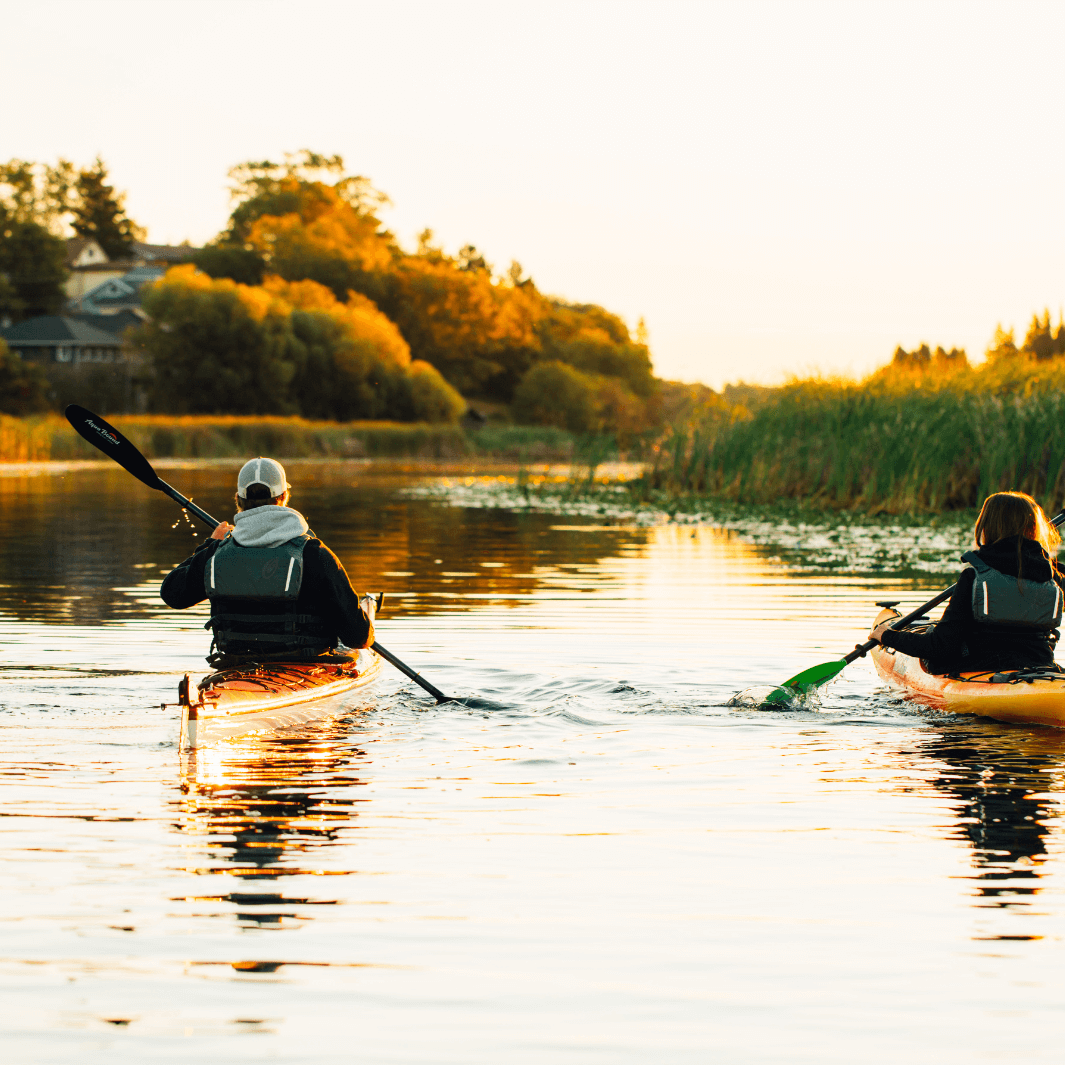 sting ray carbon 4-piece posi-lok