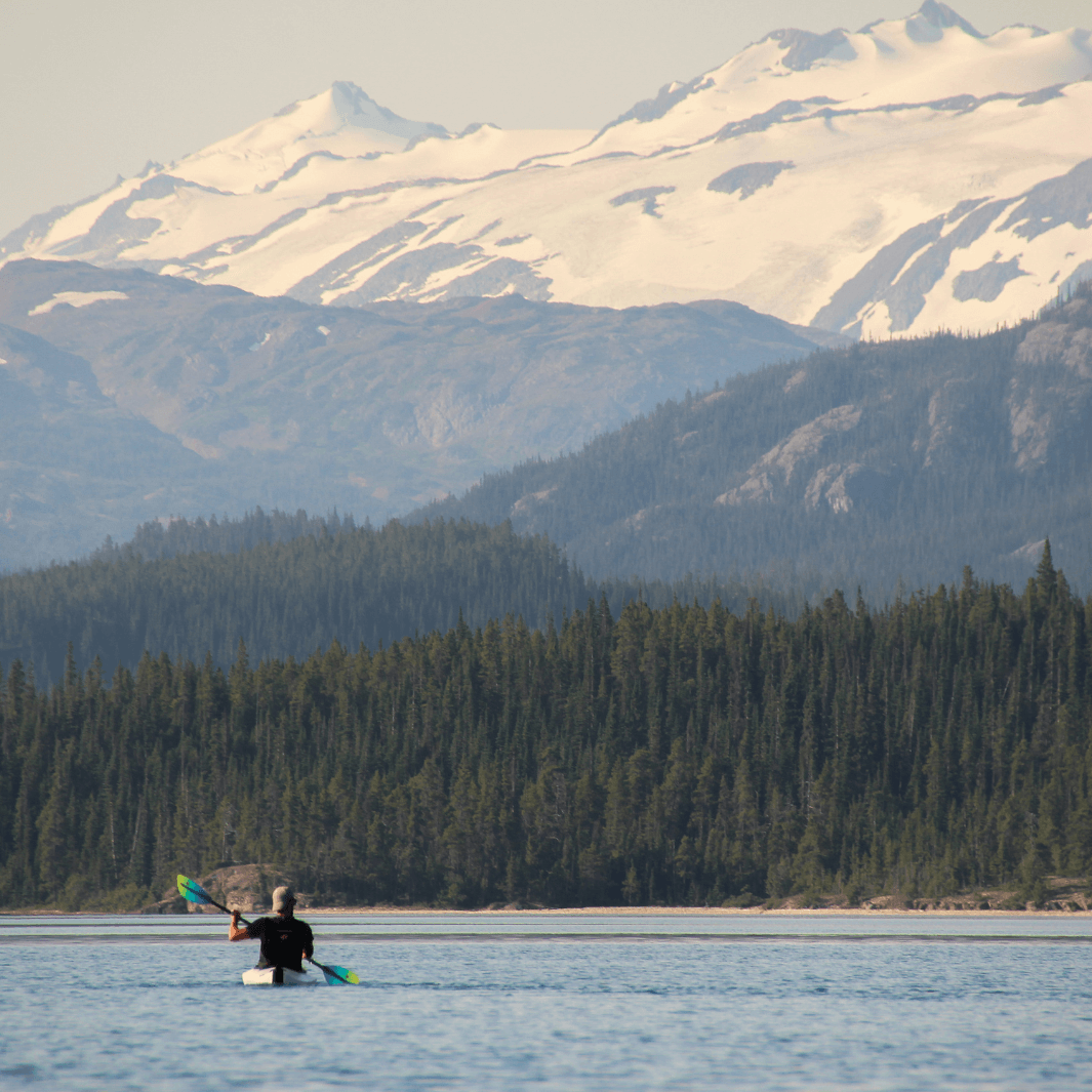 tango fiberglass 4-piece posi-lok kayak paddle sunwave being paddled away from camera with snow-capped mountain and pine trees in background#color_sunwave